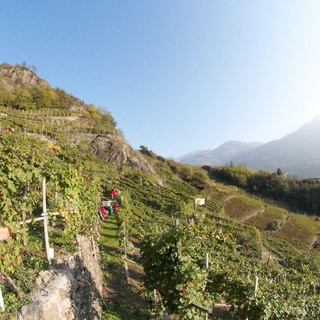 Winebnb Sondrio Exterior photo