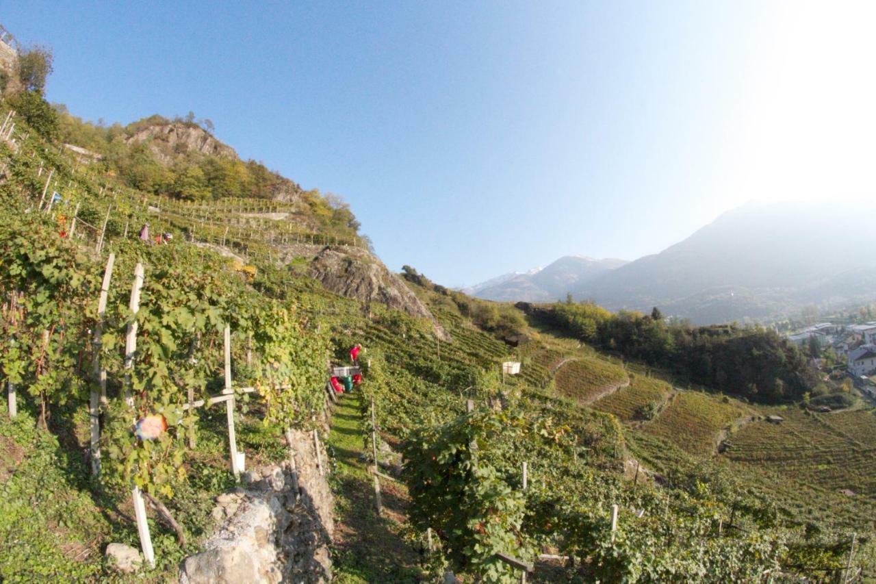 Winebnb Sondrio Exterior photo